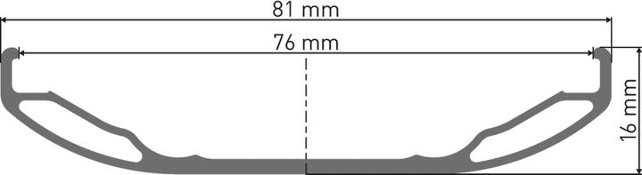 Productafbeelding DT Swiss BR 2250 Classic Fatbike wiel 26" HR Alu 197/12 mm (Achterwiel, 26")