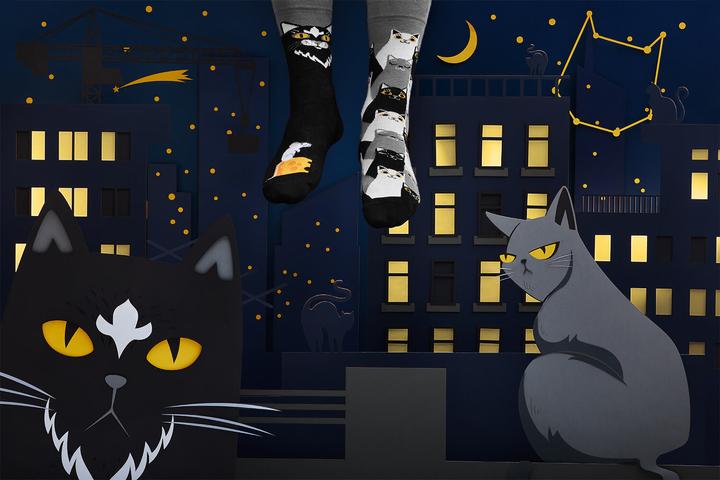 Actual product image Many Mornings Black Cat (Single pack, 35 - 38)