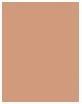 Produktbild L'Oréal Paris Infaillible Matte Cover (290 Golden Amber)