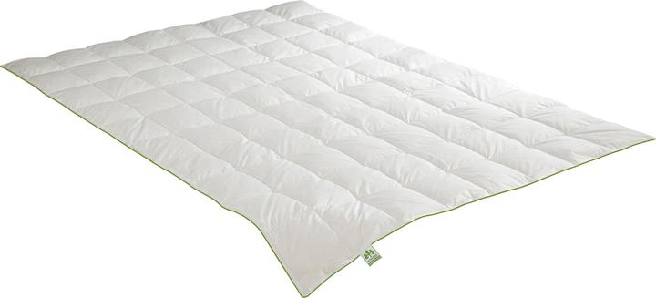 Produktbild Irisette Einziehdecke "Daune" (250 g, 155 x 220 cm)