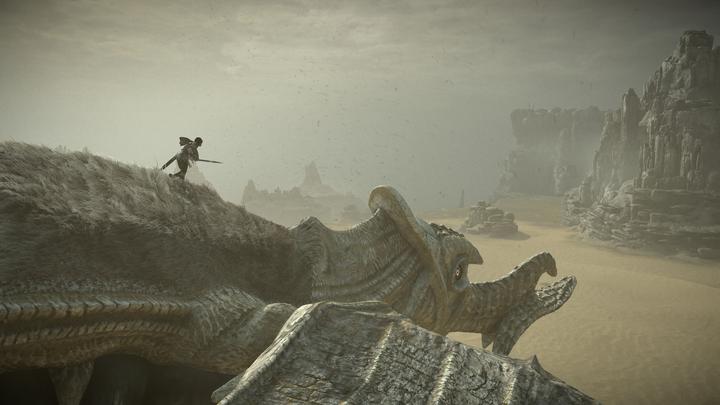 Actual product image Sony Interactive Entertainment Shadow of the Colossus PlayStation 4 (PS4, DE)