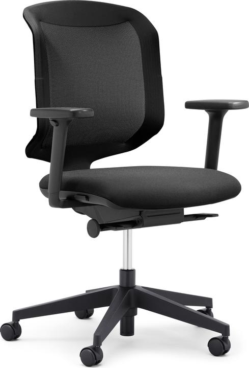 Giroflex 434-3019-C2G Schwarz mit Armlehnen