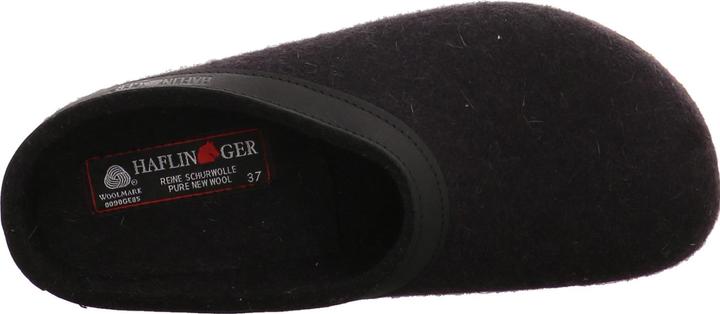 Actual product image Haflinger Grizzly Torben (44)