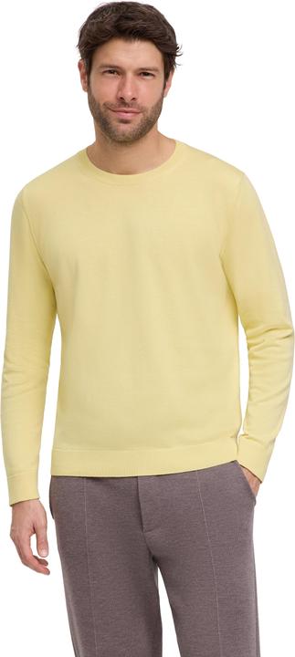 Immagine prodotto Falke Herren Pullover (S)