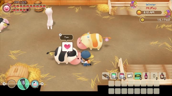 Produktbild Marvelous Story of Seasons : Friends of Mineral Town (Switch, FR)