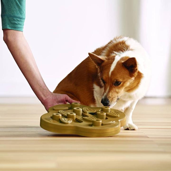 Produktbild Nina Ottosson Dog Hide N' Slide