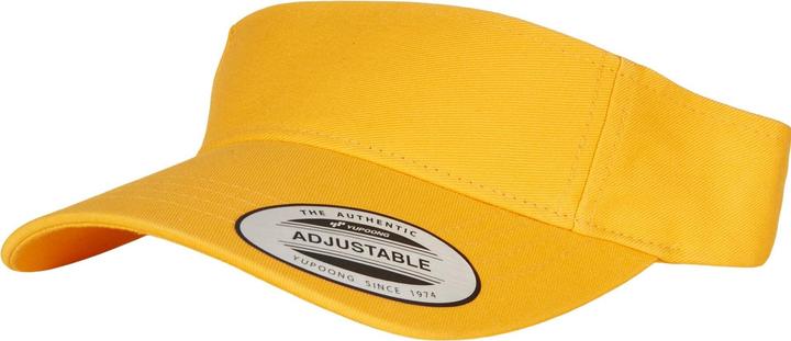 Flexfit Curved Visor Cap (One Size)