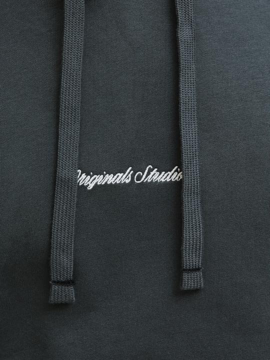 Actual product image Jack & Jones Jornorrebro Emb Sweat Hood Noos (XL)