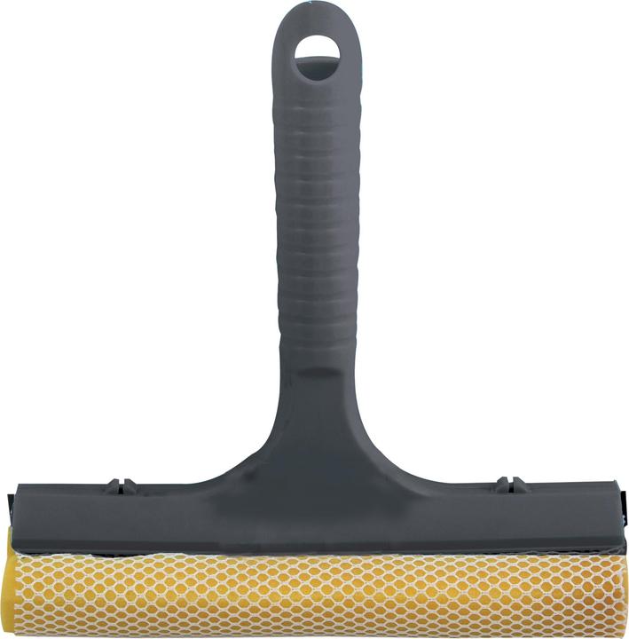 Actual product image MSV Rachel