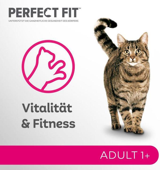 Produktbild Perfect Fit Adult 1+ (Adult, 12 Stk., 1020 g)
