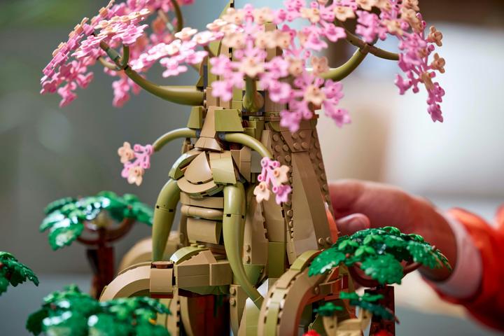 Produktbild LEGO The Legend of Zelda - Deku-Baum 2-in-1 (77092, LEGO The Legend of Zelda)