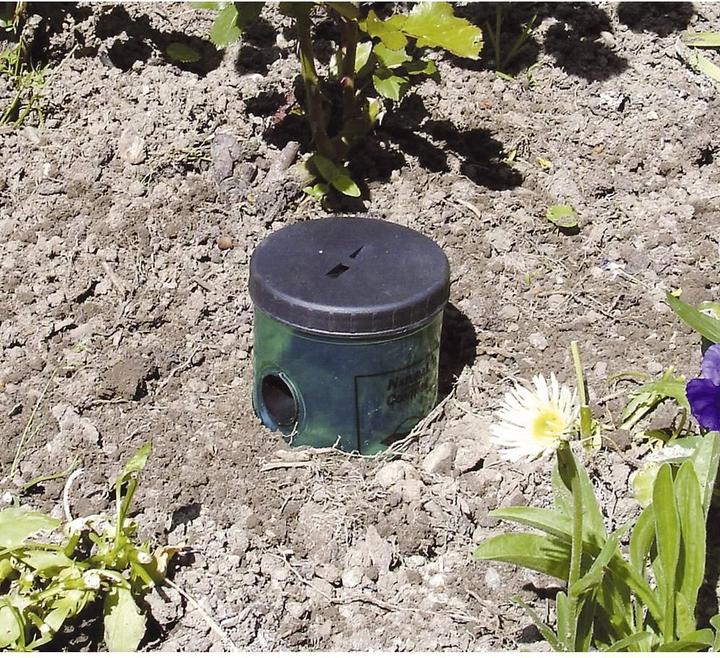 Immagine prodotto Swissinno Trappola per lumache Controllo naturale
