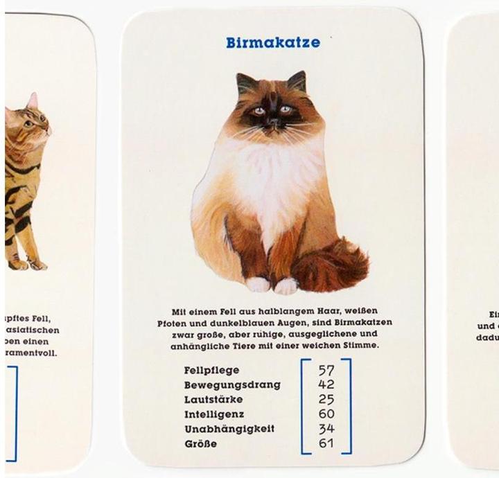 Produktbild 441050 - Quartett - Katzen. Best in Show - 2+ Spieler, ab 8 Jahren (DE-Ausgabe) (Deutsch)