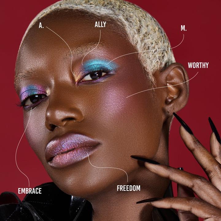 Actual product image Danessa Myricks Pride Palette Love Is Love (Love is Love)