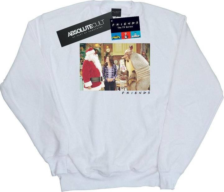 Friends The Holiday Armadillo Sweatshirt (L)