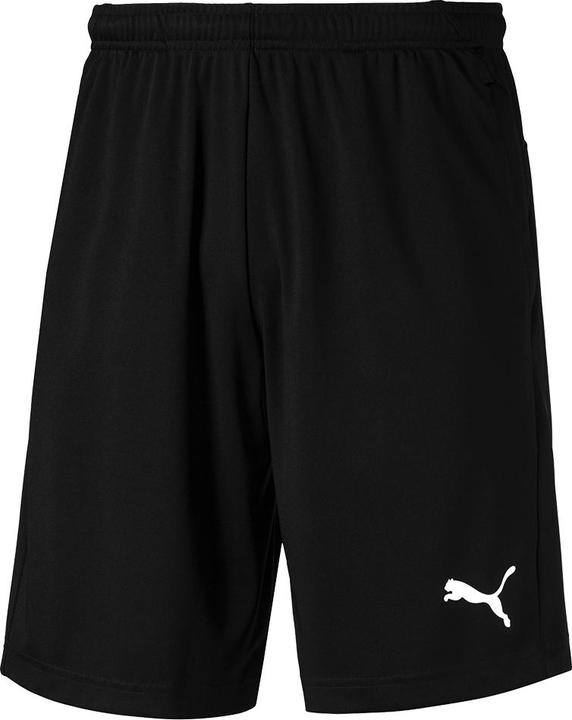 Puma Liga Training Shorts (S)