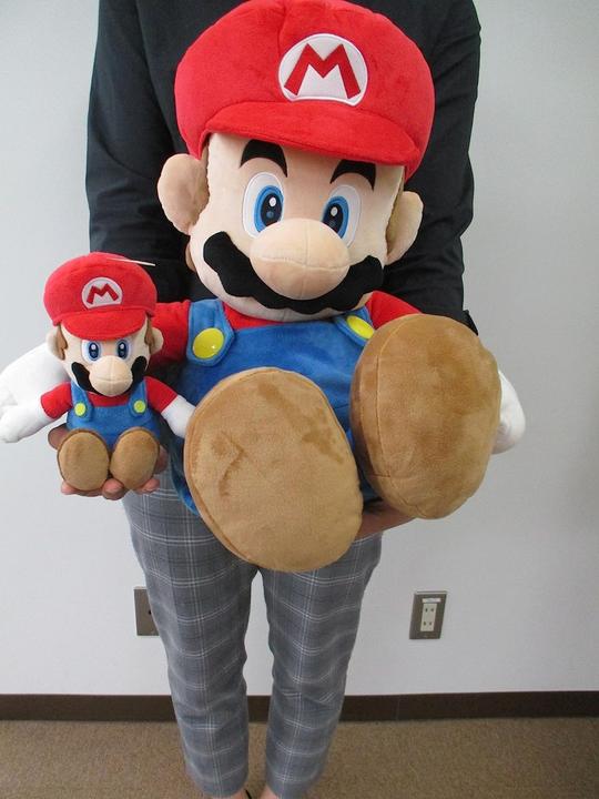 Actual product image Together Plus Mario Plush (28 cm)