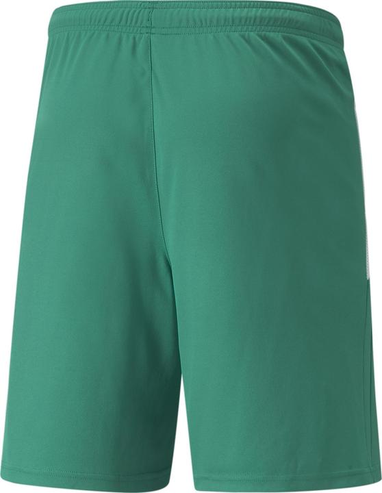 Actual product image Puma teamLIGA Shorts-704924 (M)