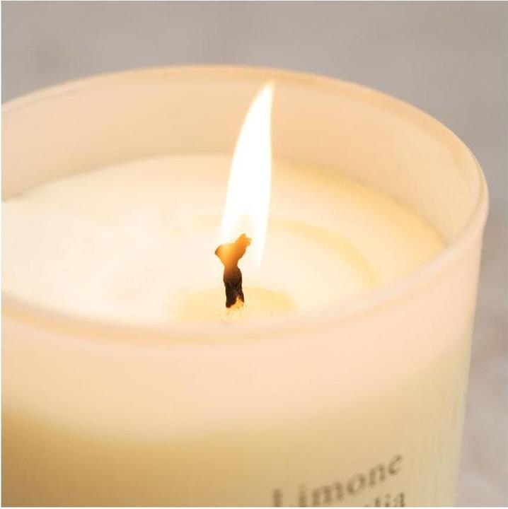 Immagine prodotto Jean & Len Limone di Sicilia (230 g)