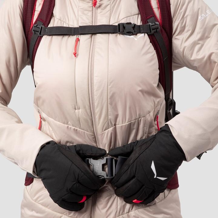 Image du produit Salewa Sac à dos Winter Mate L Da (28 l)