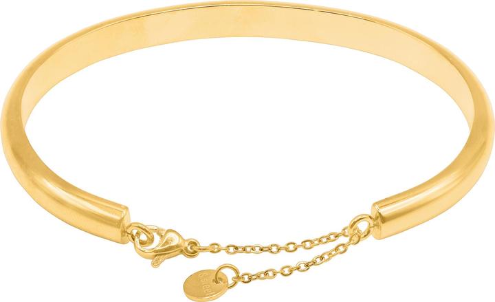 Immagine prodotto Heideman Calvus color oro (100% acciaio inossidabile)