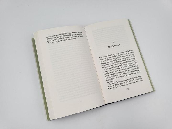 Produktbild Brüderchen (Deutsch, Clara Dupont-Monod, 2023)