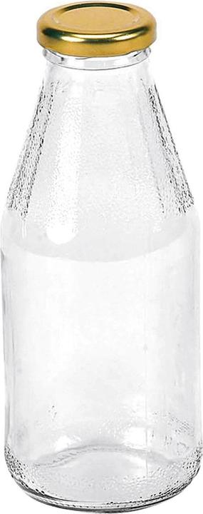 Deti Saftflasche mit Deckel 500 ml (1 Stk., 0.50 l)