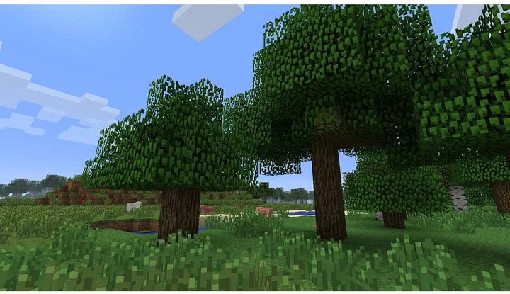 Immagine prodotto Nintendo Minecraft (Switch, Multilingue)