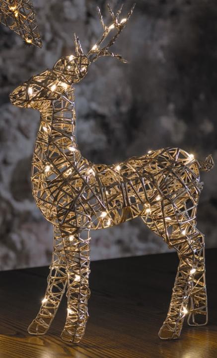 Image du produit STT Gold reindeer, 30