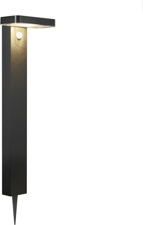 Image du produit Nordlux Rica (450 lm, IP44)