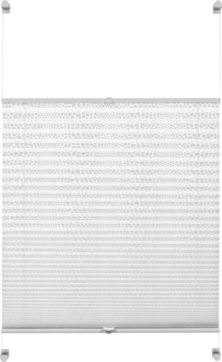 Produktbild Gardinia EASYFIX Plissee Ausbrenner-Stoff mit 2 Bedienschienen Dot (50 x 130 cm)