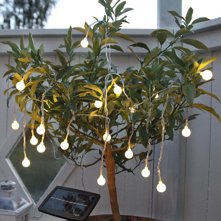Actual product image Schönenberger Globini (4.75 m)
