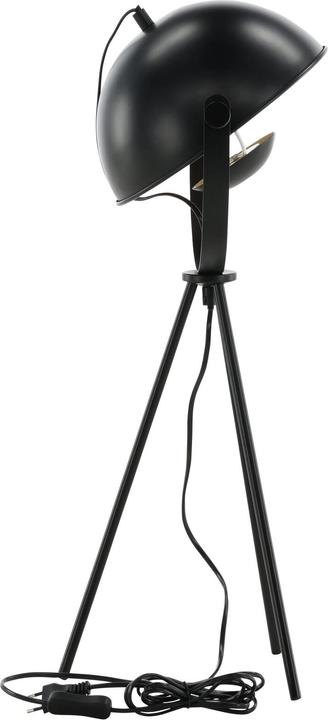 Image du produit Venture Home Lampe de table Search (E27)