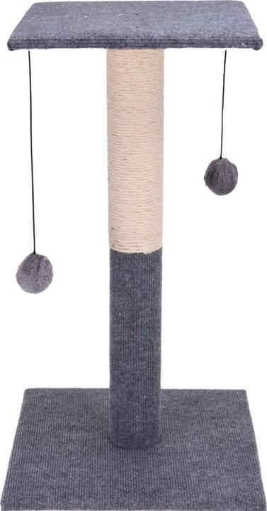 Casativo Cat (60 cm, Grey, Nature)