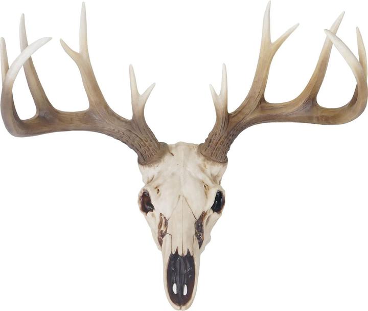 Image du produit Jamb Crâne déco 58cm (58 x 40 cm)