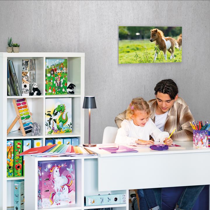Immagine prodotto HERMA Copertina per quaderno, DIN A5, in PP, con rivestimento arancione (A5)