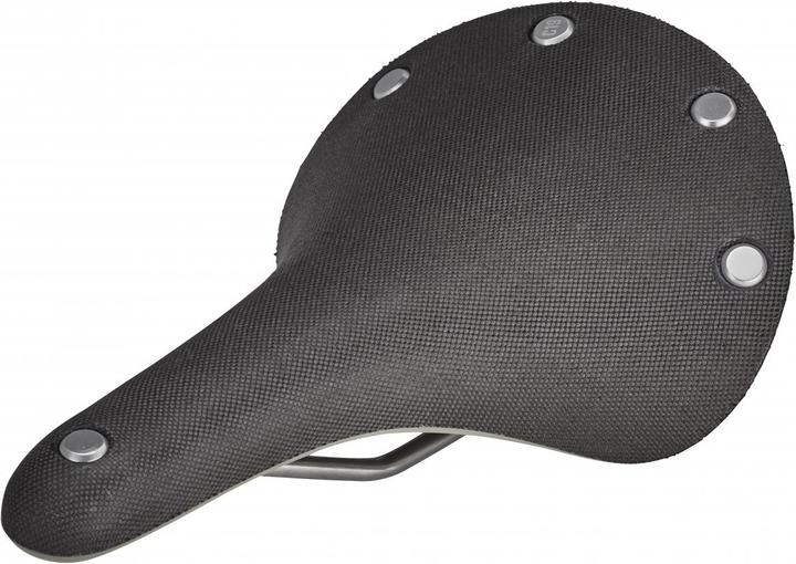Brooks England C19 Cambium