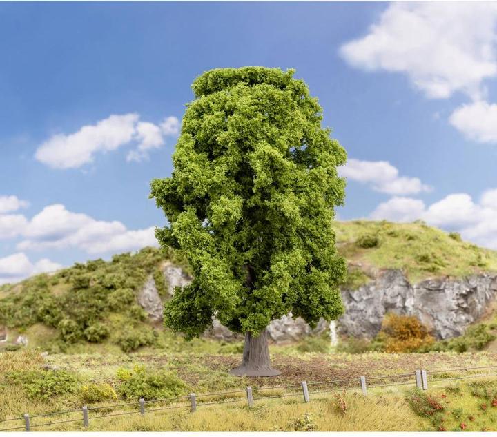 Actual product image Faller Oak