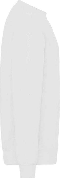 Immagine prodotto Fruit of the Loom Felpa classica 8020 (4XL)