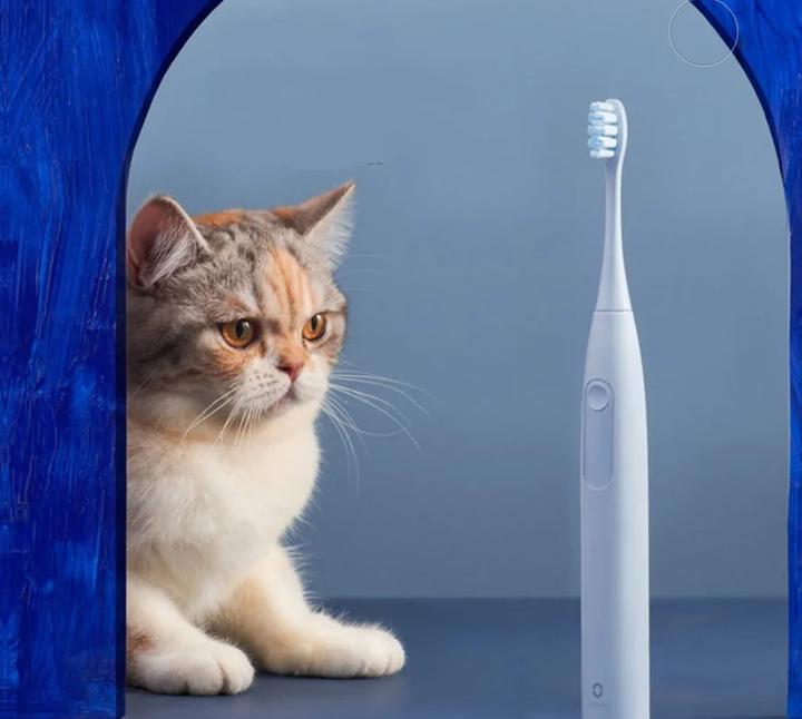 Actual product image Oclean Sonic (Sonic toothbrush)