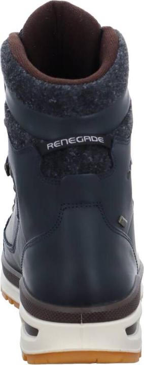Actual product image Lowa Renegade Evo GTX /honey (41.5)