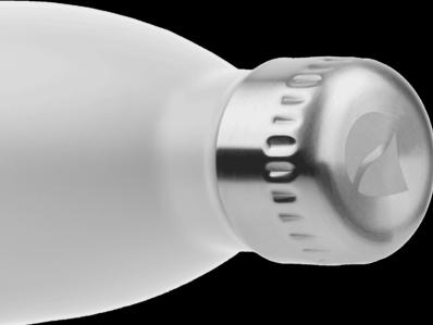 Image du produit FLSK Gourde (0.75 l)
