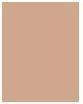Immagine prodotto Sensai Silky Bronze Natural Veil compatto (SC02 Naturel)
