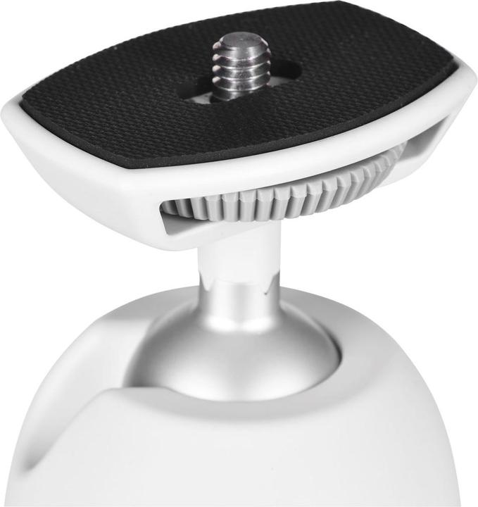 Immagine prodotto Manfrotto Pixi EVO (Materiale sintetico, Metallo)