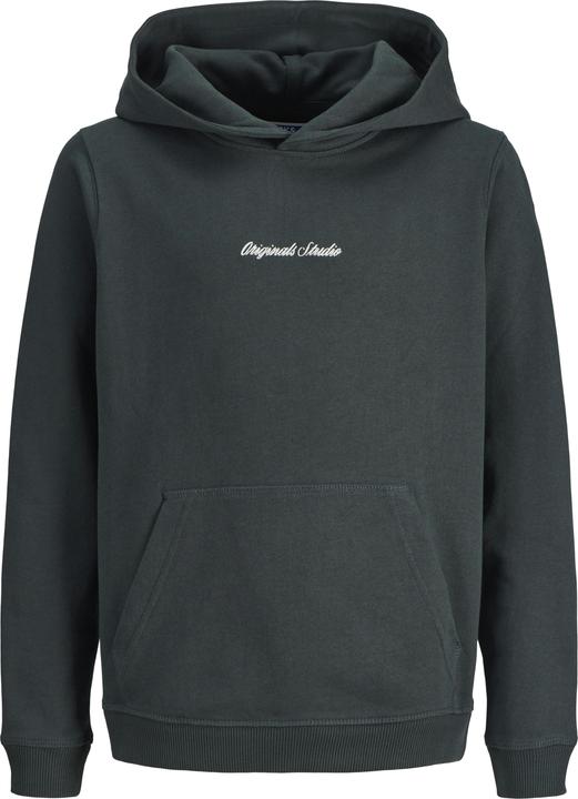Actual product image Jack & Jones Jornorrebro Emb Sweat Hood Noos Jnr (140)