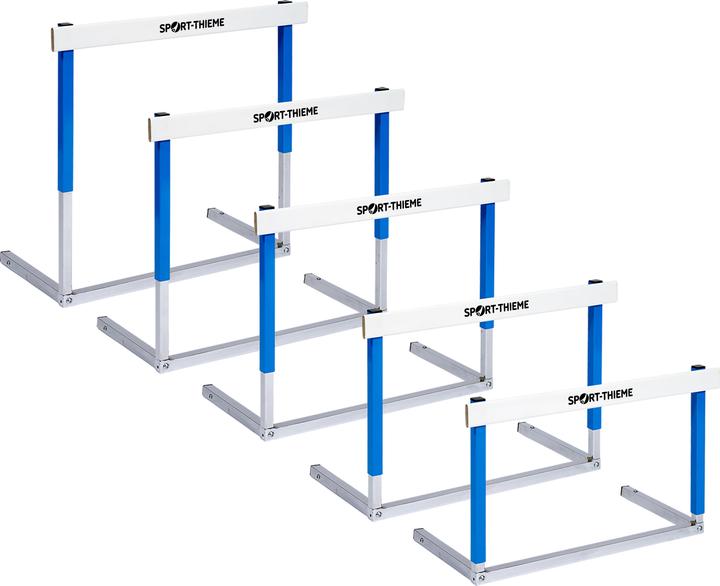 Actual product image Sport-Thieme Hurdle Magnetic (4000 g)