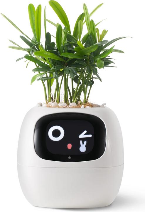 Produktbild Plantsio Ivy Smart Planter
