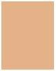 Actual product image MAC Cosmetics Studio Radiance Face And Body Radiant Sheer Foundation (N1)