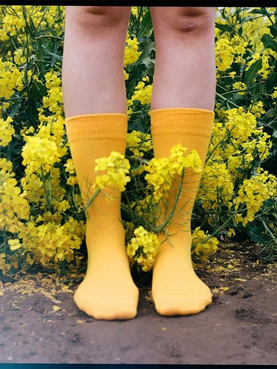 Image du produit DillySocks D-Compose (lot de 2, 39 - 42)