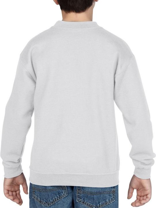 Actual product image Gildan Sweatshirt with round neck (pack of 2) (L)